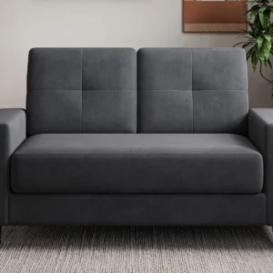 Loveseat Sofa 53"